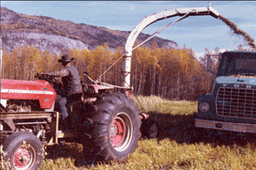 Silage